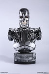 Endoskeleton (Prototype Shown) View 2