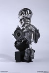 Endoskeleton (Prototype Shown) View 4