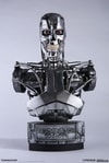 Endoskeleton (Prototype Shown) View 9