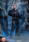 Westley aka The Dread Pirate Roberts