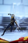 The Wasp (Prototype Shown) View 14