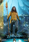 Aquaman (Prototype Shown) View 5