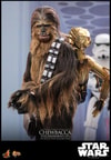 Chewbacca™ with Disassembled C-3PO™ (Prototype Shown) View 14