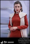 Princess Leia Bespin (Prototype Shown) View 7