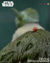Yoda
