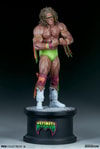 Ultimate Warrior
