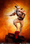 Storm Shadow Collector Edition View 1