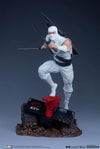 Storm Shadow Collector Edition View 25