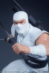 Storm Shadow Collector Edition View 19