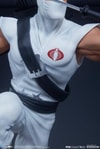 Storm Shadow Collector Edition View 16