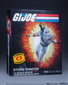 Storm Shadow Collector Edition View 4