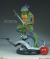 Donatello (Prototype Shown) View 24