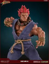 Akuma 10 Year
