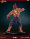 Akuma 10 Year Classic Exclusive Edition 