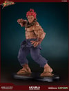 Akuma 10 Year Deluxe
