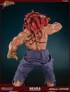 Akuma 10 Year Deluxe