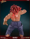 Akuma 10 Year Deluxe