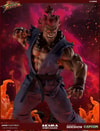 Akuma 10 Year Ultimate