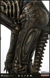 Alien Big Chap Exclusive Edition (Prototype Shown) View 16