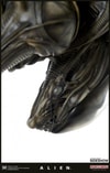 Alien Big Chap Exclusive Edition (Prototype Shown) View 18