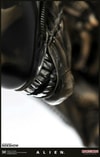 Alien Big Chap Exclusive Edition (Prototype Shown) View 19