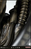 Alien Big Chap Exclusive Edition (Prototype Shown) View 21