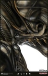 Alien Big Chap Exclusive Edition (Prototype Shown) View 23