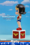 DC Comics Molly Wonder Woman Disguise Collectible Figure