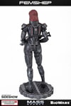 Femshep (Prototype Shown) View 16