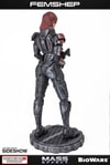 Femshep (Prototype Shown) View 17