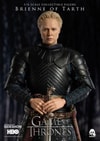 Brienne of Tarth (Prototype Shown) View 6