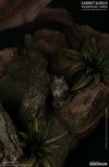 Carnotaurus Exclusive Edition (Prototype Shown) View 18