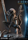 Scorpion Alien (Prototype Shown) View 16
