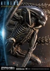 Scorpion Alien (Prototype Shown) View 20