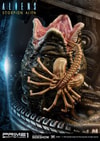 Scorpion Alien (Prototype Shown) View 22