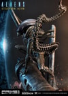 Scorpion Alien (Prototype Shown) View 24