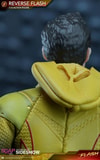 Reverse Flash (Prototype Shown) View 7