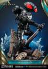 Black Manta Collector Edition (Prototype Shown) View 11