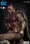 Batman Bronze Edition (Prototype Shown) View 5