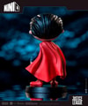 Superman Mini Co (Prototype Shown) View 7