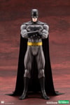 Batman (Prototype Shown) View 7