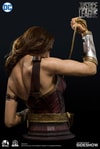 Wonder Woman (Prototype Shown) View 10