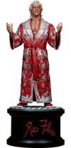 Ric Flair (The Nature Boy)