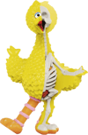 XXRAY Plus: Big Bird (Prototype Shown) View 9