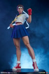 Sakura Classic Collector Edition - Prototype Shown