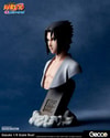 Sasuke Uchiha