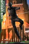 Spider-Man (Stealth Suit) Collector Edition (Prototype Shown) View 3