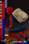 Spider-Man (Deluxe Version) Collector Edition (Prototype Shown) View 9
