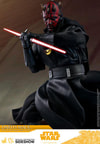 Darth Maul (Prototype Shown) View 8