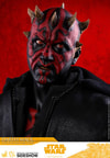 Darth Maul (Prototype Shown) View 21